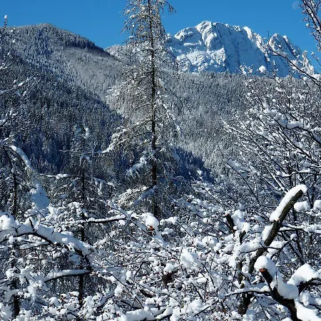 Homestay Koci Zamek Zakopane